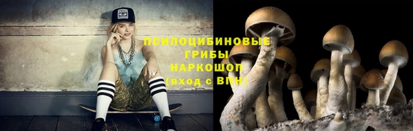 МДПВ Верея