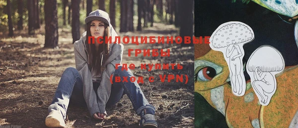 МДПВ Верея